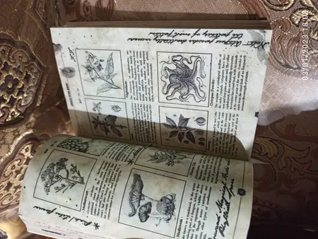 اسباب بازی زینتی مستر گرین مدل کتاب های مدرسه هری پاتر طرح معجون سازی شاهزاده دورگه