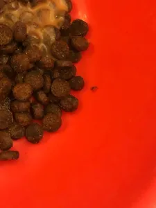 تجریه خرید غذای خشک سگ شدو مدل Puppy وزن 2.5 کیلوگرم