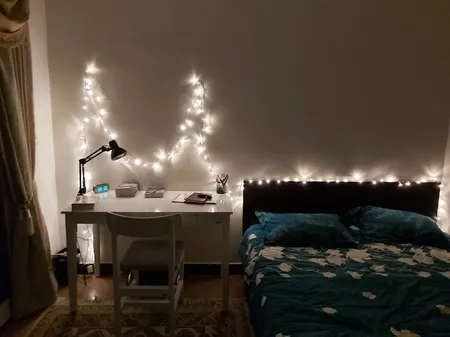 ریسه ال ای دی کد 100-LED طول 10 متر