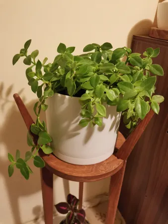 گلدان طرح استوانه مدل مهرنی 17.5-103