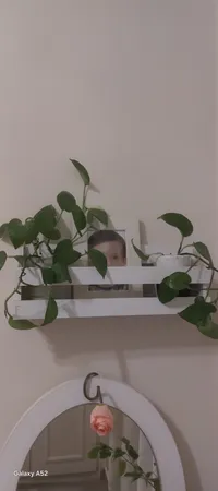 شلف دیواری خونه خاص مدل جاکتابی