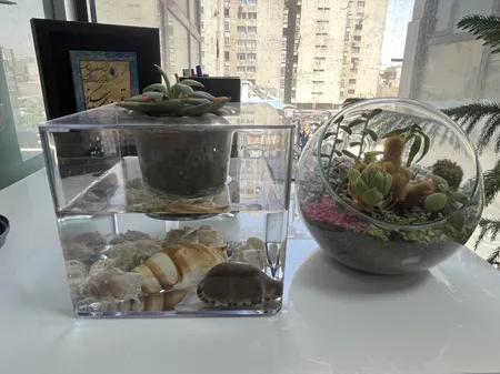 گلدان طرح آکواریوم کد ck106