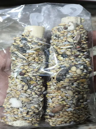 تشویقی طوطی هپی برد مدل استیک پرستیژ وزن 60 گرم