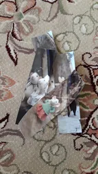 نشانگر کتاب کد LAM1 مجموعه 6 عددی