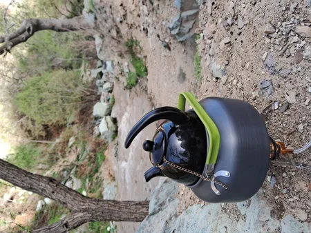 قوری مدل آلاله کوچک کد 11222xc