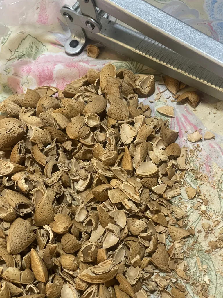 گردوشکن مدل O981