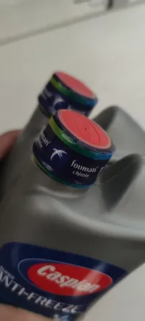 ضدیخ و ضدجوش خودرو کاسپین مدل چهار فصل حجم 1000 میلی لیتر بسته 2 عددی