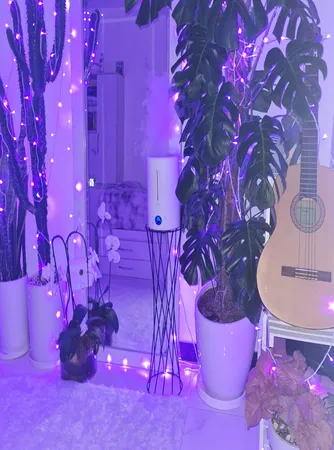 دستگاه بخور سرد درما مدل Humidifier F628s