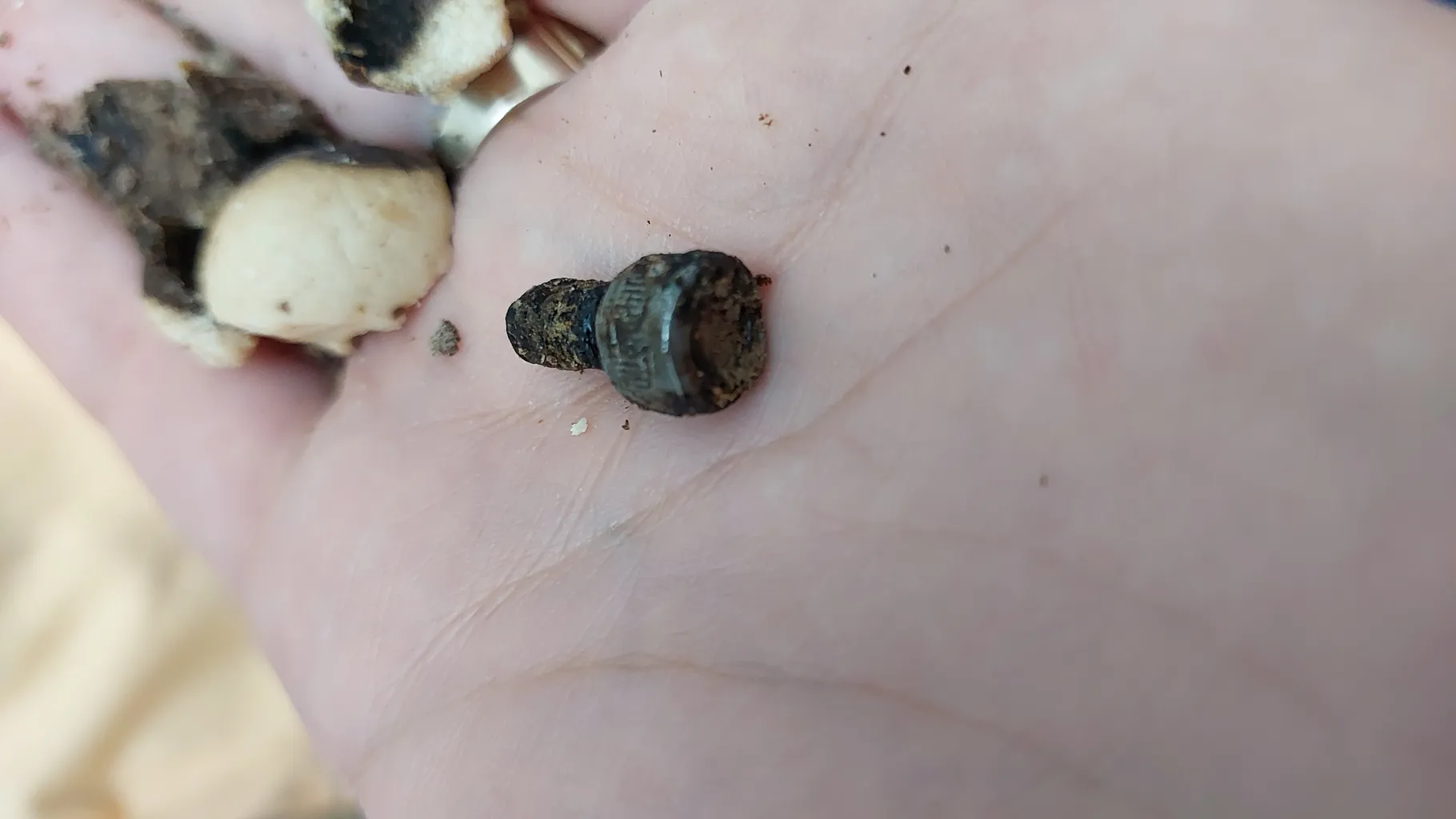 کشک قره قروتی سرمد - 500 گرم بسته 2 عددی