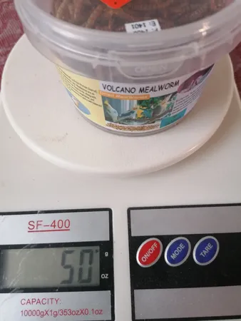 غذای تشویقی عروس هلندی ولکانو میلورم کد MWC60 وزن 60 گرم