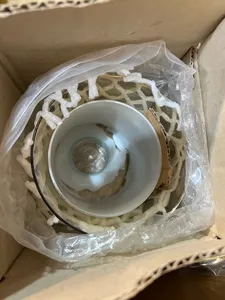 تجریه خرید لوستر 5 شعله چشمه نور کد A811/5