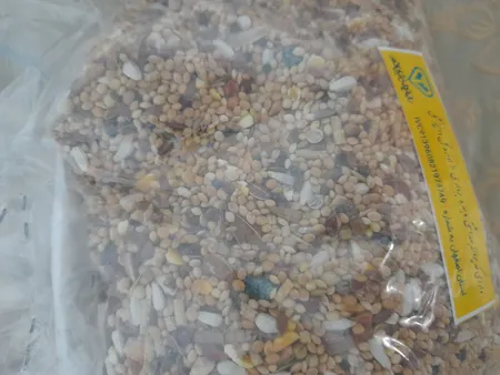 غذای عروس هلندی کاسنر مدل تقویتی وزن 530 گرم