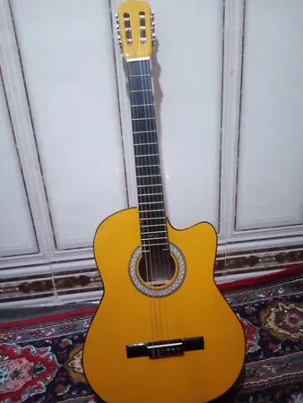 گیتار مدل C40