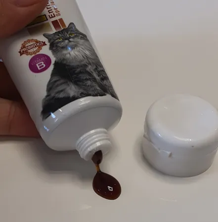 مالت گربه نوتری پت مدل B Plus حجم 80 سی سی