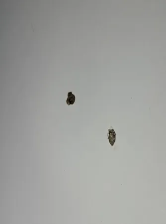 میز تحریر مدل M33