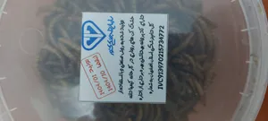 تجریه خرید غذای ماهی و لاک پشت فود فارمز لند مدل میلورم وزن 50 گرم