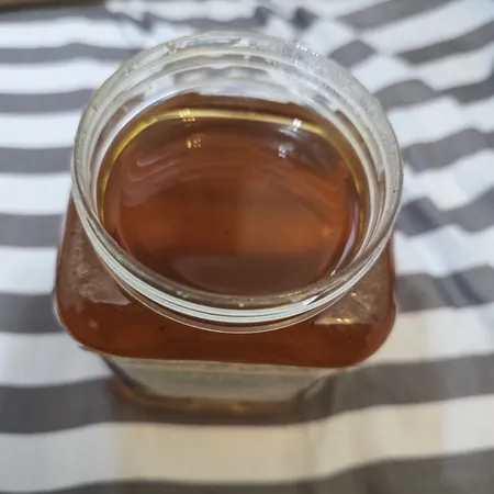 عسل طبیعی سبلان گون گز خام الماس کوهستان - 1 کیلوگرم