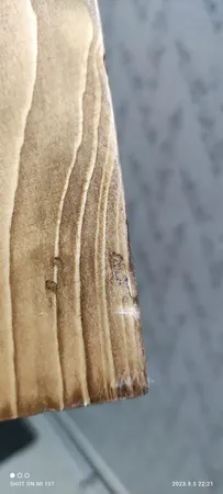 چوب لباسی مدل تاشو