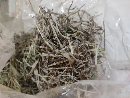 یونجه خشک خرگوش و جوندگان لوپ هاوانا کد 011 وزن 1000گرم