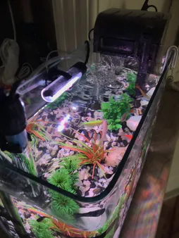 لامپ ال ای دی آکواریوم مدل B-10c