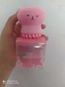 برس پاک‌سازی مدل B 0101