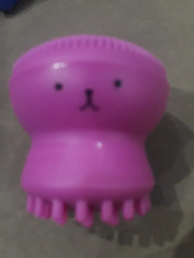 برس پاک‌سازی مدل B 0101