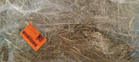 یونجه خشک خرگوش و جوندگان لوپ هاوانا کد 011 وزن 1000گرم