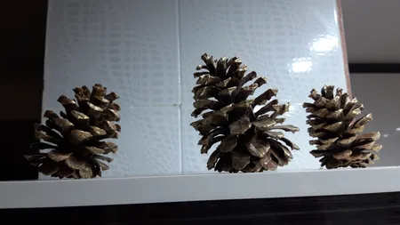 میوه تزیینی مدل کاج Metalic painted مجموعه 7 عددی