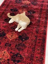 تجریه خرید فرش ماشینی دنیای فرش مدل رزیتا سنتی کد 1508