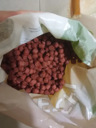 غذای خشک پریمیوم گربه پتچی مدل Kitten وزن 400 گرم