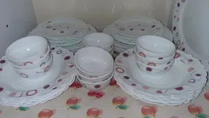 تجریه خرید سرویس 25 پارچه غذاخوری آیروپال طرح مینو