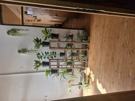 استند گلدان مدل Mtf5