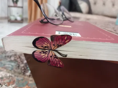 نشانگر کتاب باروچین مدل پروانه ها کد bk-19 بسته 2 عددی