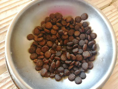 غذای خشک سگ نوتری پت مدل Adult 21 Percent PROBIOTICS وزن 15 کیلوگرم