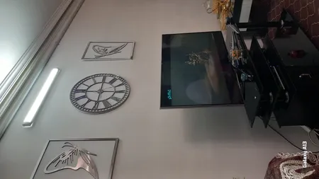 ساعت دیواری اِلِنسی مدل پروانه به همراه تابلو