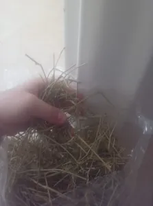 تجریه خرید یونجه خشک خرگوش و خوکچه خرگوشک مدل A001 وزن 1000 گرم