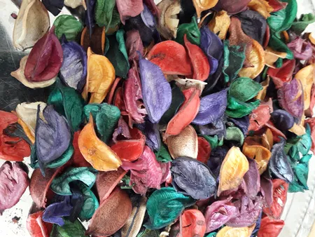 گل خشک بسته بندی مدل رنگارنگ