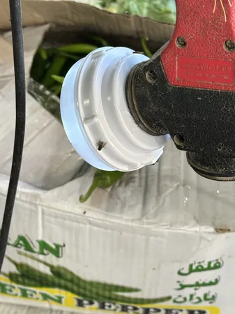 عکس ارسالی خریدار
