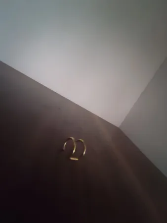 پیرسینگ گوش زنانه پایتخت مدل PS323