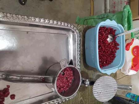 آب انار گیر دستی مدل گوریلا کد YP-N-026