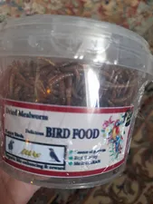 تجریه خرید تشویقی مرغ مینا فود فارمز لند مدل میل ورم وزن 50 گرم