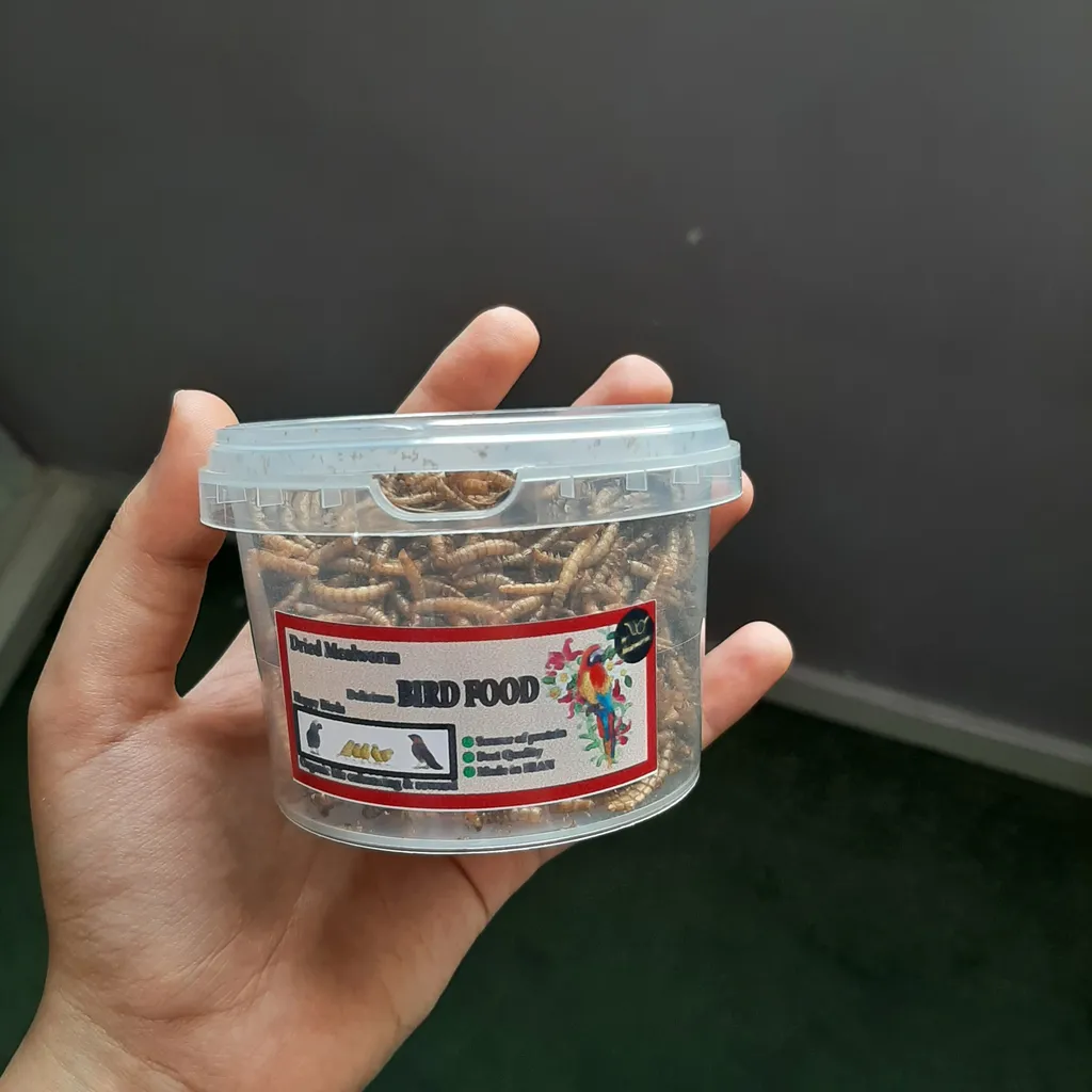 تشویقی عروس هلندی فود فارمز لند مدل میل ورم وزن 50 گرم