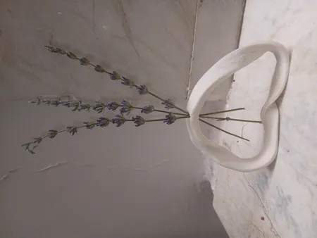 خمیر مجسمه‌سازی آرتینا مدل پلیمری کد 215