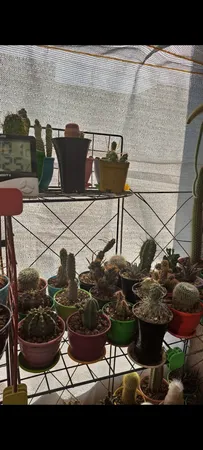 توری شید گلخانه مدل ریزبافت ضد آفتاب کد 2/5 طول 5 متر