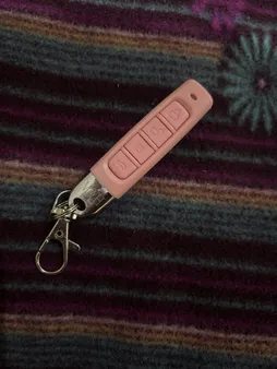 ریموت بلوتوثی در ورودی مدل 433Mhz-pink