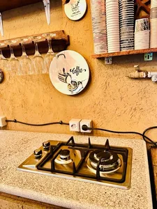 تجریه خرید اجاق گاز صفحه ای زرتوس مدل ZS20001