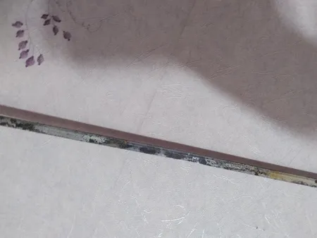 جای سیخ کد 66 به همراه 6 عدد سیخ جوجه کباب