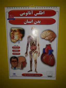 پوستر طرح اطلس آناتومی بدن انسان مجموعه 15 عددی