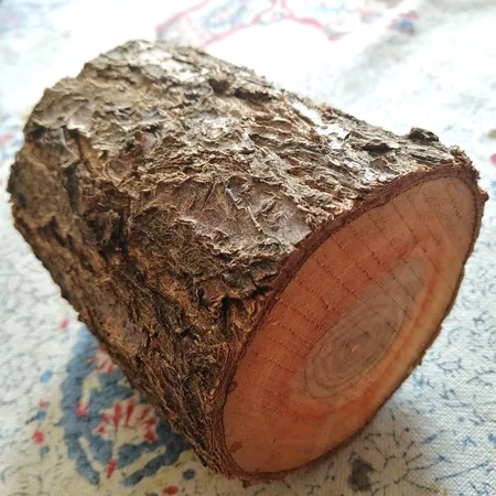 گلدان چوبی فیل چوب مدل GCH_ch