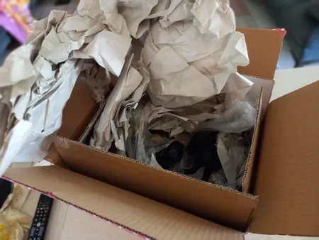 مجسمه مدل گوزن گرافیکی مجموعه 2 عددی